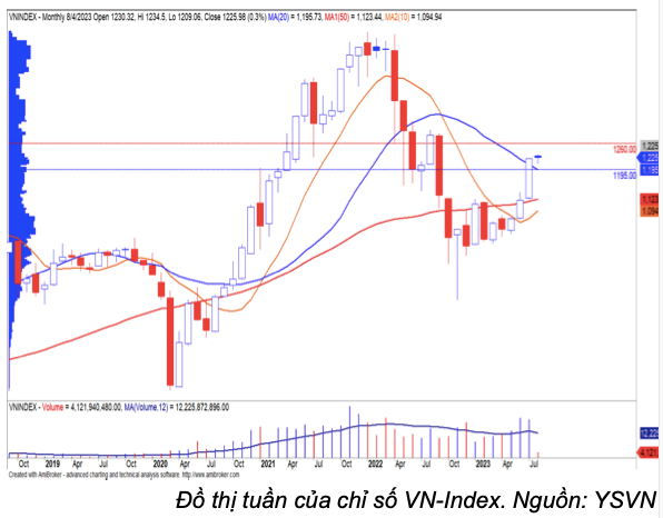 VN-Index co the bien dong 1.195 – 1.265 diem trong thang 8