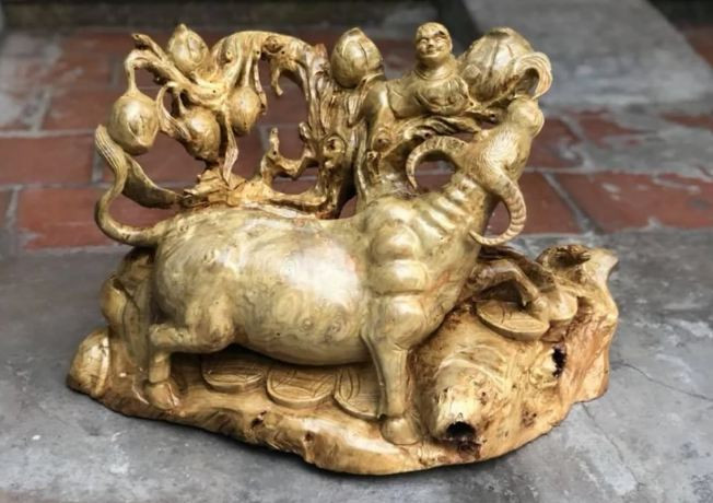 Chuyen gia phong thuy khuyen gia chu nen ruoc vat nay vao nha