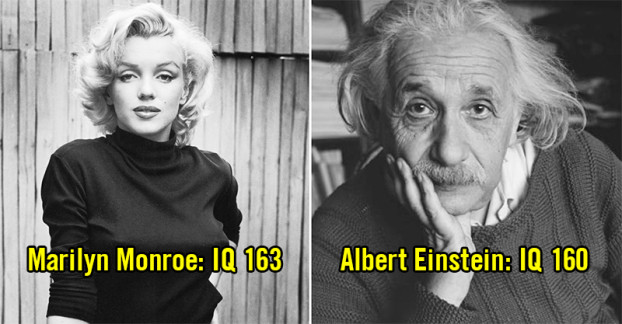 Marilyn Monroe có IQ cao hơn Albert Einstein: Một số nguồn tin cho rằng Marilyn Monroe có IQ khoảng 163-168, trong khi IQ của Albert Einstein là 160. Tất nhiên, bây giờ người ta không có cách nào chứng minh điều này, nhưng Marilyn được cho là một người phụ nữ thông minh thực sự. Cô đọc rất nhiều sách, và có nhiều sở thích khác nhau. Ngoài ra, Einstein đã từng tặng cho Marilyn tấm ảnh có chữ ký của ông mà Marilyn rất trân quý.