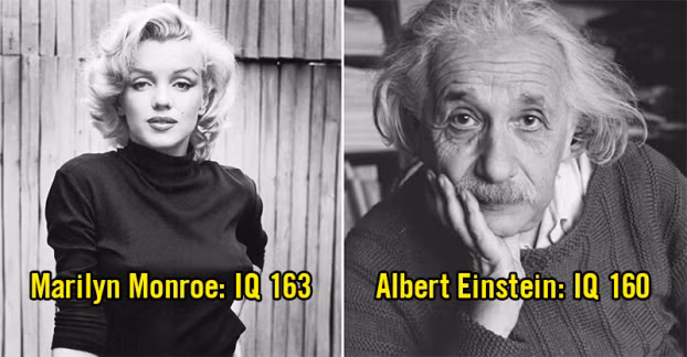 Marilyn Monroe có IQ cao hơn Albert Einstein: Một số nguồn tin cho rằng Marilyn Monroe có IQ khoảng 163-168, trong khi IQ của Albert Einstein là 160. Tất nhiên, bây giờ người ta không có cách nào chứng minh điều này, nhưng Marilyn được cho là một người phụ nữ thông minh thực sự. Cô đọc rất nhiều sách, và có nhiều sở thích khác nhau. Ngoài ra, Einstein đã từng tặng cho Marilyn tấm ảnh có chữ ký của ông mà Marilyn rất trân quý.