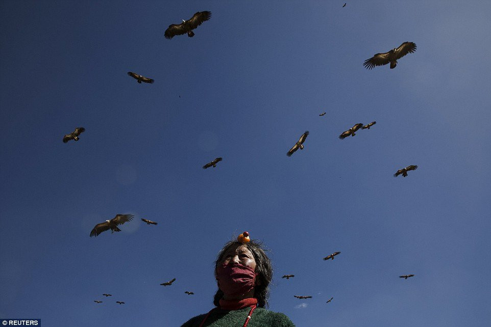 Người Tây Tạng tin rằng việc để kền kền rỉa xác người là một điều nhân văn bởi con kền kền khi tới ăn xác người đã khuất sẽ tha mạng cho các con mồi khác của nó.