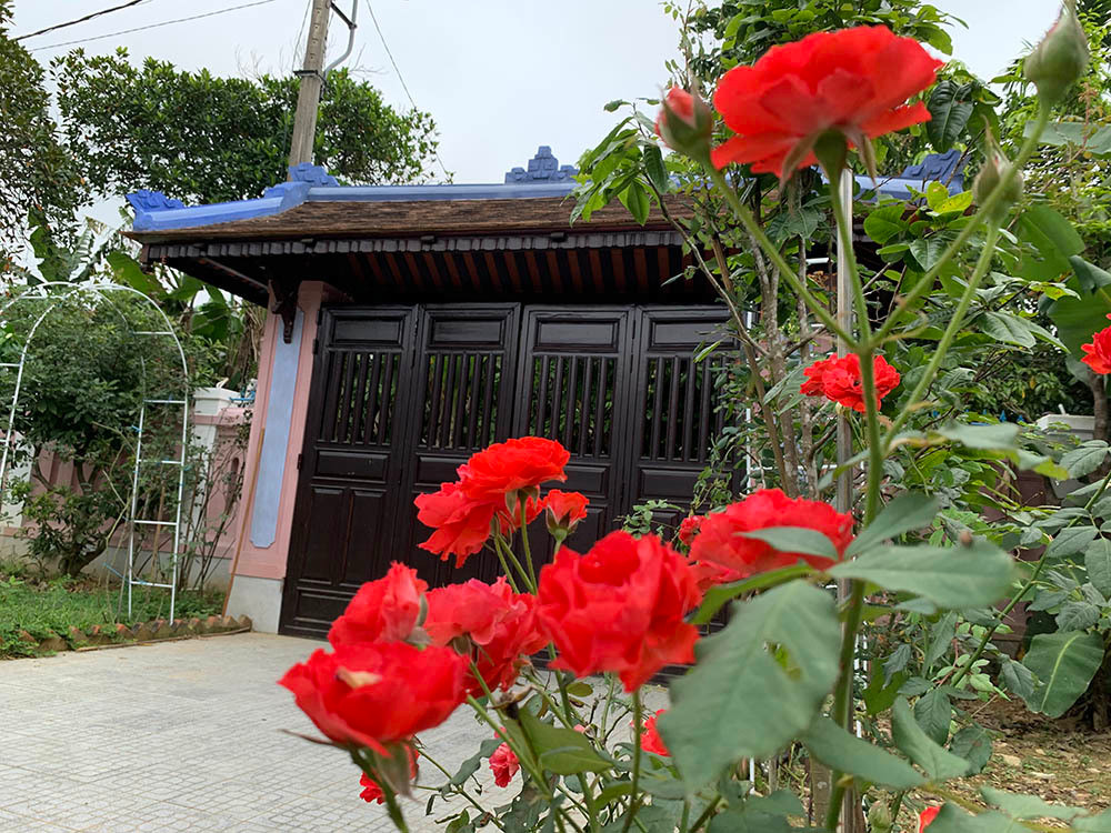 Ba me 2 con cai tao can nha hoang thanh ngoi nha co tich giua TP Hue-Hinh-10