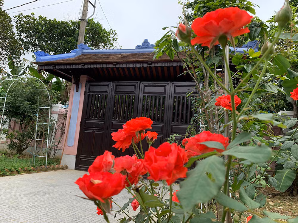 Ba me 2 con cai tao can nha hoang thanh ngoi nha co tich giua TP Hue-Hinh-10