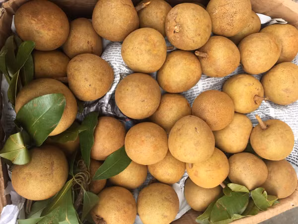 Hong xiem dang vao mua, dung mua khi thay nhung dau hieu nay-Hinh-2