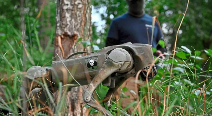 Do kích thước nhỏ và thấp trên mặt đất nên những chú chó robot này khó bị phát hiện. Chúng có thể sử dụng hình ảnh nhiệt để kiểm tra chiến hào của đối phương hoặc vật thể bên trong tòa nhà ở các vùng chiến sự.