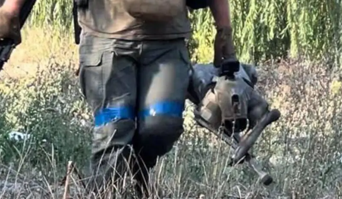 Những chú chó robot này được trang bị lớp ngụy trang chống nhiệt của Công ty Concamo của Đức, giúp chúng trở nên vô hình trước các máy chụp ảnh nhiệt, có thể thâm nhập vào bên trong các tòa nhà hoặc chiến hào và phát hiện bẫy mìn.