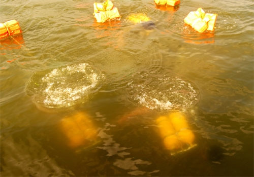 Đại tá Đoàn Văn Mạnh, Chính ủy lữ đoàn Đặc công Hải quân 126, cho biết: Trong đợt huấn luyện vừa qua, 100% cán bộ, chiến sĩ, nhất là chiến sĩ trẻ đều hoàn thành xuất sắc những bài tập khó, duy trì thời gian bơi và thực hiện nhiệm vụ dưới nước, trên biển trong điều kiện khắc nghiệt, xứng đáng là những "Yết Kiêu" trong thời đại mới. Ảnh: Bơi, lặn dưới nước nhiều giờ.