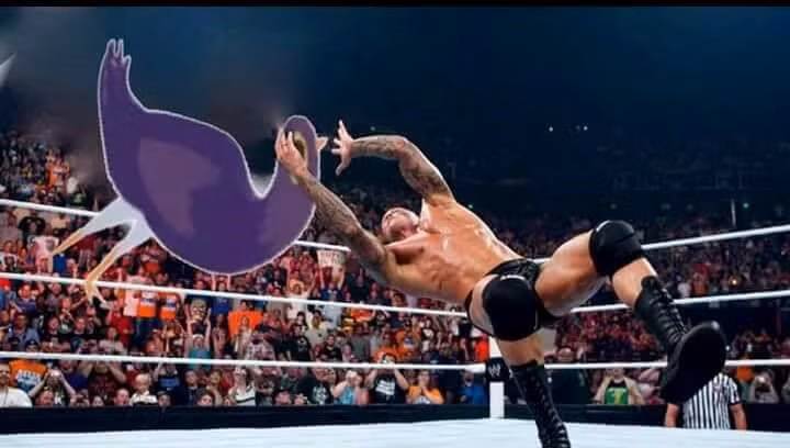 Mặc dù chỉ mới xuất hiện chưa đầy một tuần, hàng loạt "tác phẩm" độc đáo về chim bồ câu tím đã nhanh chóng được ra đời. Ảnh: Trash Dove Memes.