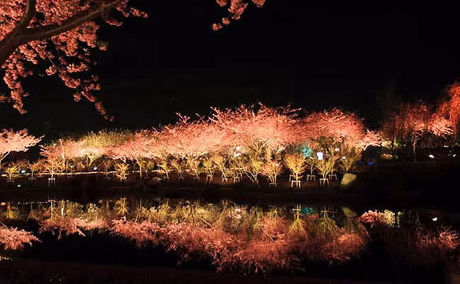 Nếu nơi đây là mơ, có lẽ tôi cũng không muốn tỉnh giấc nữa.