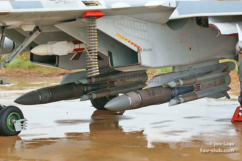 Kh-31 có một vài phiên bản, trong đó biến thể nổi tiếng nhất là tên lửa chống radar (ARM) Kh-31P, khác biệt giữa nó với Kh-31A nằm ở đầu dò radar thụ động thay vì chủ động, tầm bắn được kéo dài lên 110 km nhưng trọng lượng đầu đạn giảm xuống còn 87 kg.