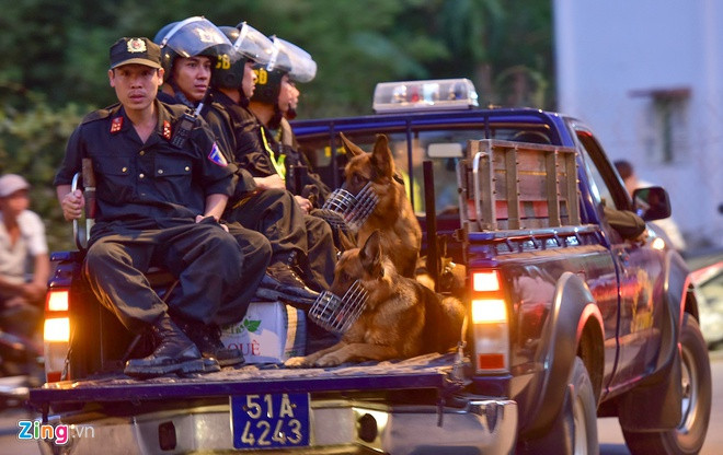 Theo những hình ảnh thu nhận từ hiện trường, loại chó nghiệp vụ được "xung trận" là giống chó Berger hay còn gọi là chó Béc-giê của Đức. Nguồn ảnh: Zingnews.