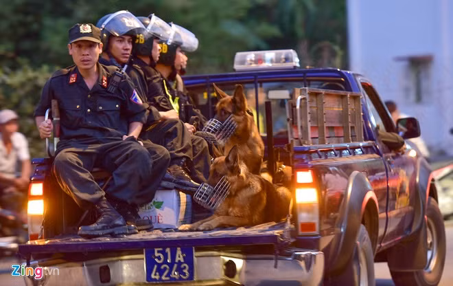 Theo những hình ảnh thu nhận từ hiện trường, loại chó nghiệp vụ được "xung trận" là giống chó Berger hay còn gọi là chó Béc-giê của Đức. Nguồn ảnh: Zingnews.