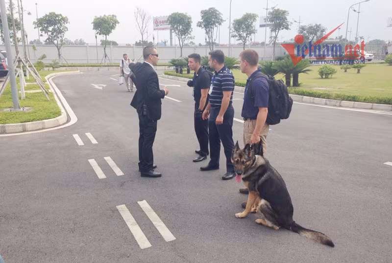 Chó nghiệp vụ được đặc vụ Mỹ mang sang Việt Nam tháp tùng chuyến thăm của Tổng thống Donald Trump. Nguồn ảnh: Vietnamnet.
