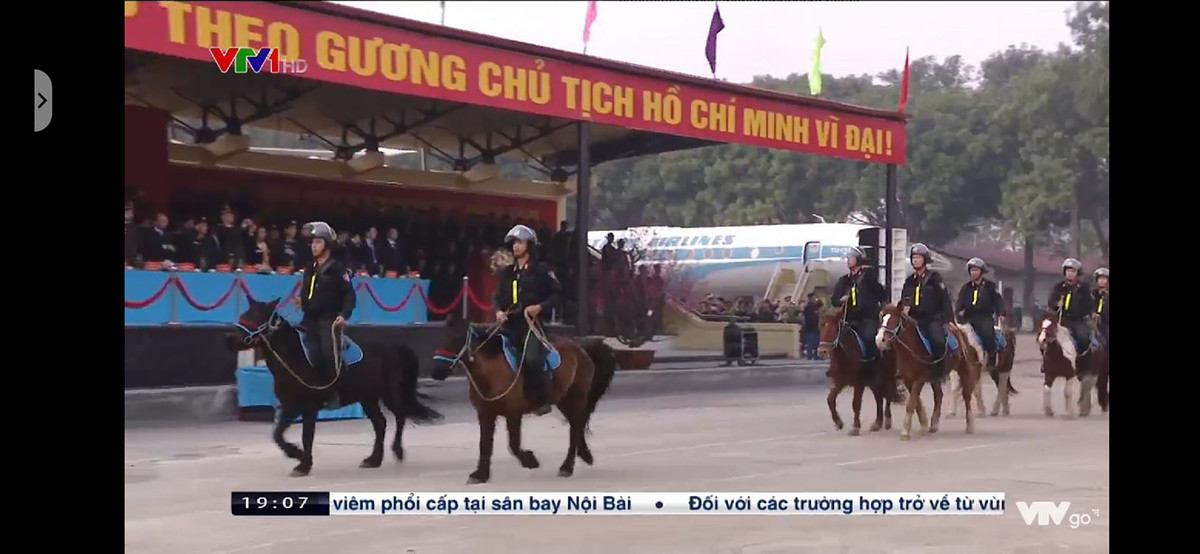 Giống ngựa Mông Cổ được chúng ta sử dụng lần này có kích thước nhỏ, chiều cao thấp, lông đuôi và bờm rất mượt. Nguồn ảnh: VTV.