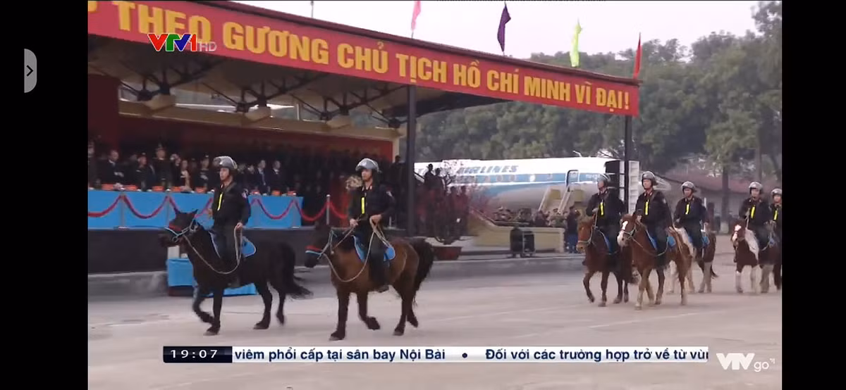 Giống ngựa Mông Cổ được chúng ta sử dụng lần này có kích thước nhỏ, chiều cao thấp, lông đuôi và bờm rất mượt. Nguồn ảnh: VTV.