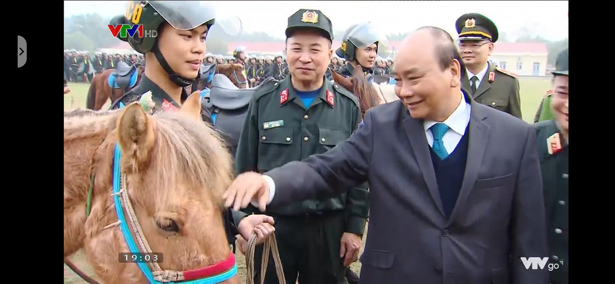 Đây được dự đoán là giống ngựa của Mông Cổ, và có thể được Việt Nam nhập khẩu, trang bị riêng cho lực lượng Cảnh sát Cơ động. Nguồn ảnh: VTV.