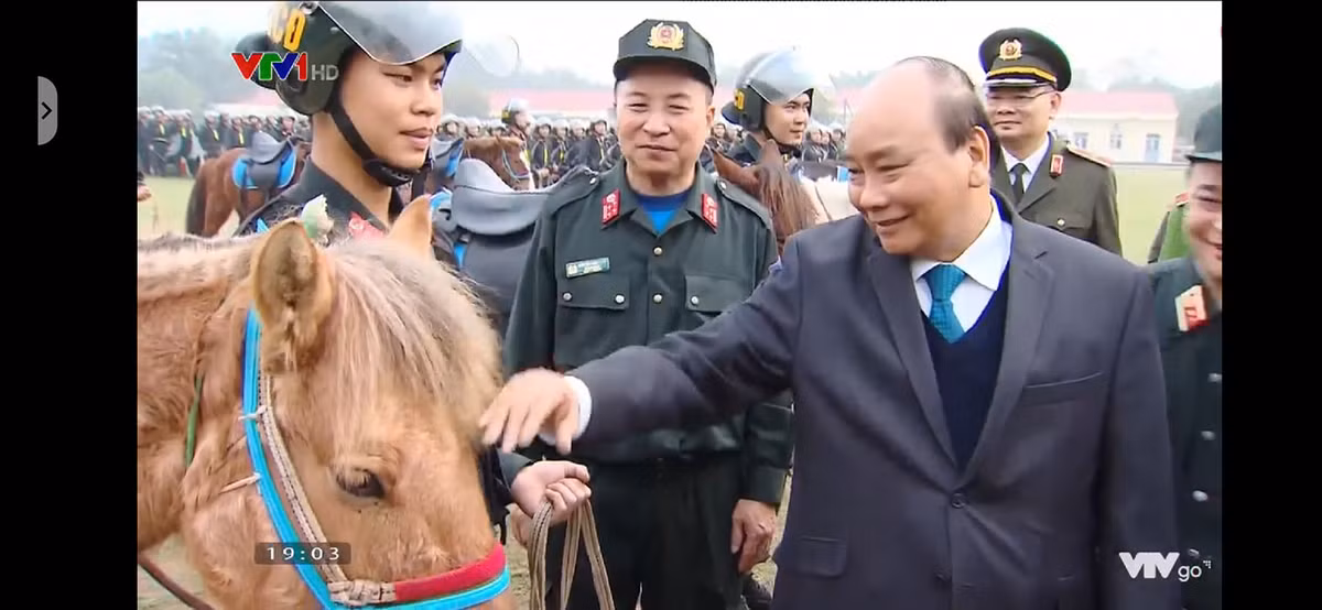 Đây được dự đoán là giống ngựa của Mông Cổ, và có thể được Việt Nam nhập khẩu, trang bị riêng cho lực lượng Cảnh sát Cơ động. Nguồn ảnh: VTV.