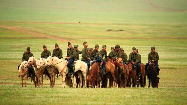 Có thể nói, việc lực lượng Cảnh sát Cơ động sử dụng giống ngựa Mông Cổ là hợp lý, thích hợp với thể trạng người châu Á, khí hậu của Việt Nam và có khả năng cơ động tốt ở nhiều địa hình khó khăn. Nguồn ảnh: Pinterest.