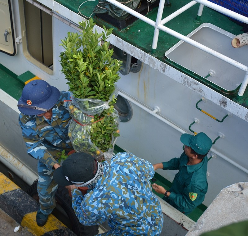 Từng cành mai, cây quất cho tới cành đào, tất cả đều được vận chuyển ra Trường Sa trên tàu vận tải của lực lượng Hải quân Việt Nam. Nguồn ảnh: QDND.