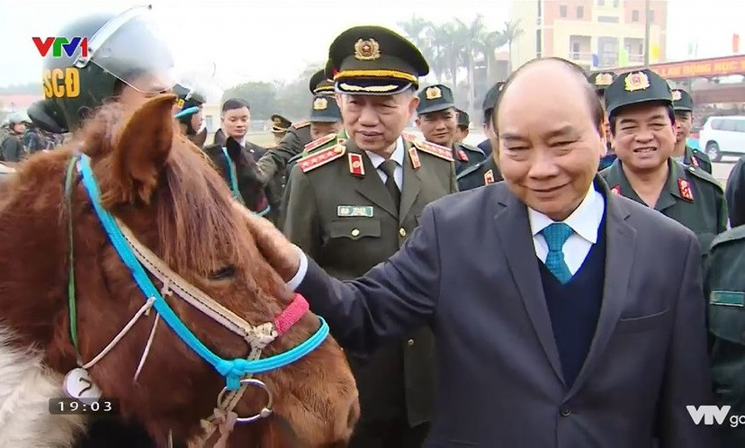 Trong những hình ảnh hiếm hoi này, có thể thấy giống ngựa được chúng ta sử dụng có vẻ bề ngoài rất đặc biệt. Nguồn ảnh: VTV.