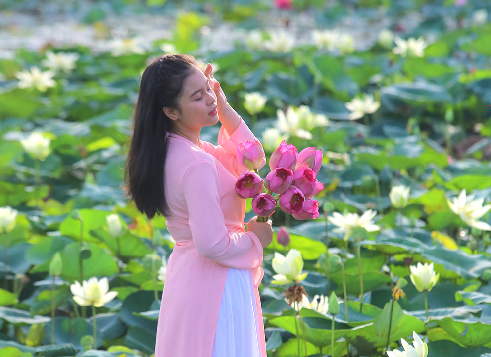 Không cách xa trung tâm Hà Nội lại có nhiều loại sen quý nên hàng ngày có rất nhiều người tới đây chụp ảnh, tận ngắm các loài hoa quý này.