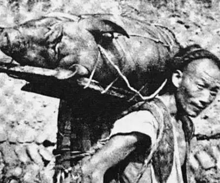 Đây là hình ảnh khắc hoạ chân thật về cuộc sống của người dân ở dưới đáy xã hội. Một người đàn ông cõng hẳn một con lợn đến chợ phiên. Khi ấy nuôi một con lợn phải mất hai ba năm, lợn lớn rất chậm, không như ngày nay chỉ cần vài tháng là xuất chuồng.