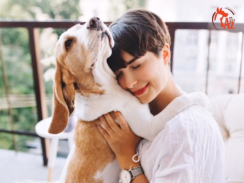  Vật nuôi cây cảnh trong nhà luôn sinh sôi: Nếu bạn sống trong một ngôi nhà mà mọi thứ trong nhà đó lúc nào cũng thuận lợi: nuôi con vật nào con đó cũng lớn nhanh như thổi, rồi sinh con đẻ cái đầy đàn. Hoặc bạn trồng cây nào cây đó cũng xanh tốt, đâm hoa kết quả sum suê thì đó chính là một ngôi nhà hợp phong thủy. 