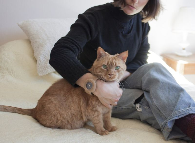 Theo đó, mảnh đất đó hoàn toàn hợp với tuổi và mệnh của gia đình bạn khiến cho mọi thứ đều thuận lợi. Chính vì vậy, bạn chớ dọn đi đâu hoặc bán nhà, hãy sống ở đó lâu dài vì càng ở bạn sẽ càng có lộc, cuộc sống nhanh chóng giàu có.