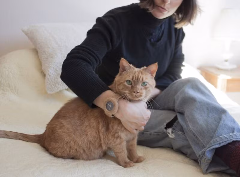 Theo đó, mảnh đất đó hoàn toàn hợp với tuổi và mệnh của gia đình bạn khiến cho mọi thứ đều thuận lợi. Chính vì vậy, bạn chớ dọn đi đâu hoặc bán nhà, hãy sống ở đó lâu dài vì càng ở bạn sẽ càng có lộc, cuộc sống nhanh chóng giàu có.