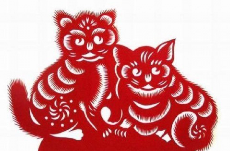 Đặc biệt, trong cuộc sống của người tuổi Mão sẽ vô cùng lên hương, cuộc sóng thăng hoa như diều gặp gió. Thêm vào đó, đây chính là khoảng thời gian mà tuổi Mão sẽ có thêm nhiều cơ hội kiếm được nhiều tiền bạc và tìm được một nửa đích thực cuộc sống vô cùng hạnh phúc.