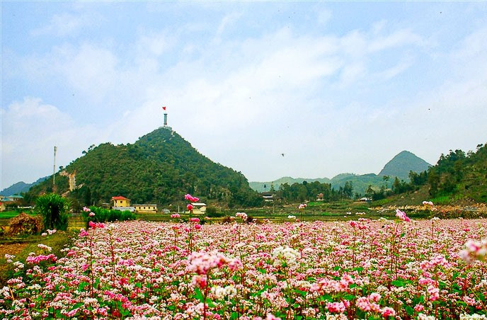 Ra đời vào năm 1993, WTA ghi nhận, khen thưởng và tôn vinh sự xuất sắc trong tất cả các lĩnh vực của ngành du lịch.