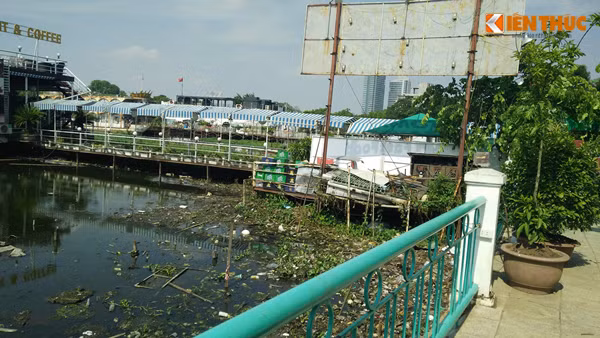 Bên dưới mặt hồ thì bị rác thải tấn công, phía trên vỉa hè bị các hộ kinh doanh chiếm dụng diện tích phần đường dành cho người đi bộ dạo quanh hồ Tây để đặt cây cảnh khiến ai đi ngang qua cũng ngao ngán, khó chịu.