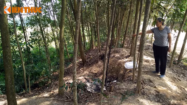 Hiện trường nơi xảy ra vụ việc.