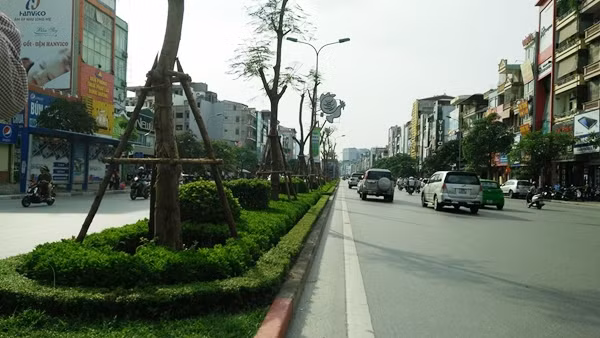 Nhiều người dân hy vọng quyết định trồng phượng vỹ trên con đường này của cơ quan chức năng Hà Nội là hợp lý. Mọi người mong phượng phát triển và nhanh tỏa bóng mát cho tuyến đường.