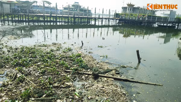 Theo quan sát của PV, rác thải bị vứt dạt vào phía bờ hồ Tây thành từng mảng lớn, rác chủ yếu là những vỏ hộp, chai lọ nhựa...