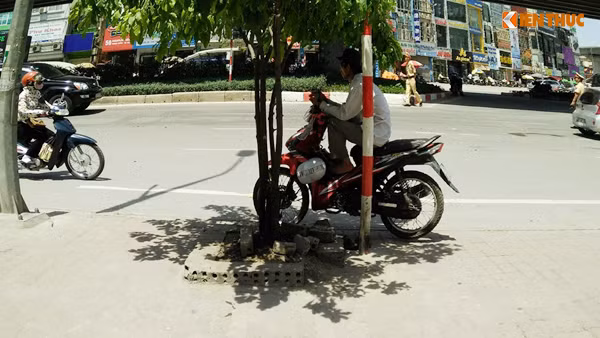 Một góc cây xanh che nắng cũng trở thành "thiên đường" cho cánh xe ôm.