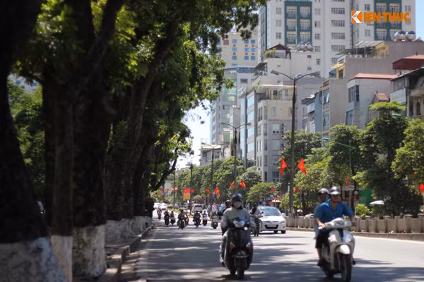 Đi dưới những hàng cây xanh ngắt trên đường Hà Nội, mọi người đều ví vui như đang lạc vào chốn thiên đường trong những ngày nắng nóng này. Ảnh chụp trên đường Kim Mã (Hà Nội).
