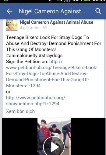 Dan mang quoc te truy tim ke hanh ha cho o HN-Hinh-3