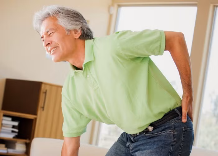 Chữa bệnh thần kinh tọa. Dùng hoa dạ lý hương 16g, huyết đằng 12g, kim cang 10g, ngải cứu 8g, mạch môn 6g, hạt sen 5g. Sắc uống mỗi ngày 1 thang chia 3 lần, mỗi lần 60ml nước thuốc. Cần uống liền 15-20 ngày. Ảnh: Thoáihoacotsong.