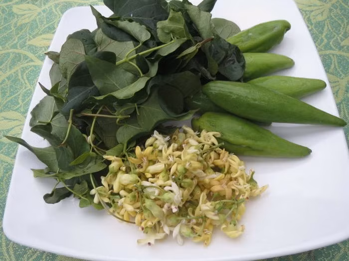 Bông dây mỏ quạ là một loại dây leo hoang dã mọc vào mùa mưa. Nó rất quen thuộc với người dân vùng miền Tây bởi lá, đọt, hoa và trái non được chế biến thành các món ăn dân dã ngon tuyệt vời. Ảnh: Tuoitre.