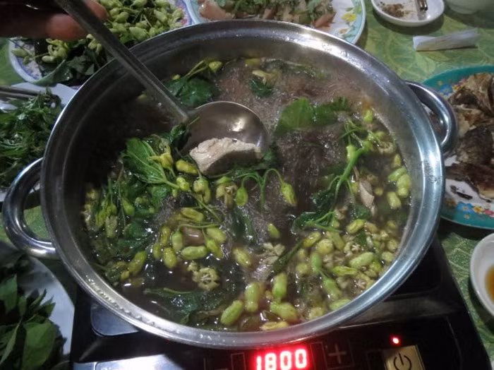 Bông mỏ quạ mềm, hơi giống bông thiên lý nhưng có vị ngọt hơn. Do đó các đầu bếp thường dùng để xào thịt bò, xào tép, chấm mắm kho, nhúng lẩu. Nó được chế biến món ăn từ bông dây mỏ quạ như luộc, nấu canh tới hấp đều khoái khẩu, độc đáo nhất là xắt mỏng xào với tôm, tép hoặc thịt bò. Ảnh: Dacsanmientay.