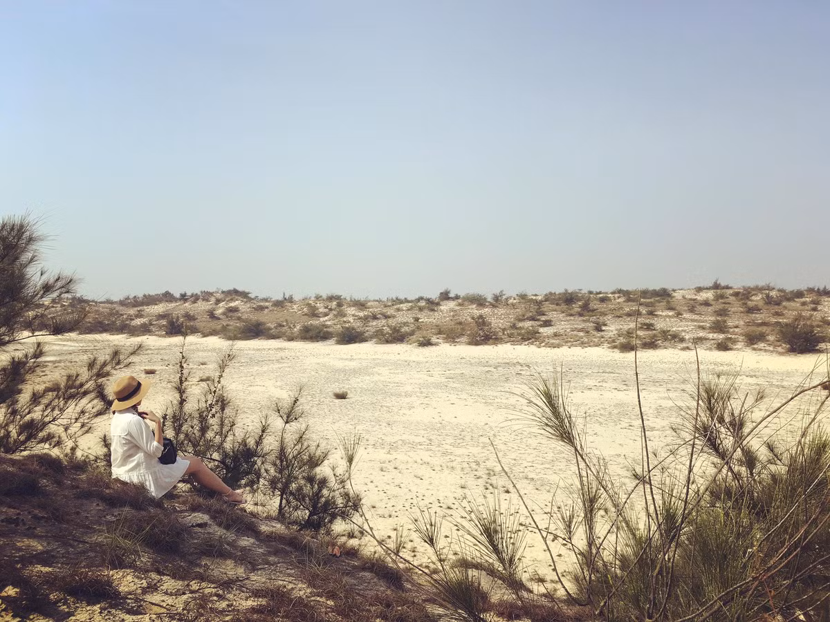 Du lich Quang Binh - Hue cuc vui ma chi ton 3 trieu dong-Hinh-9