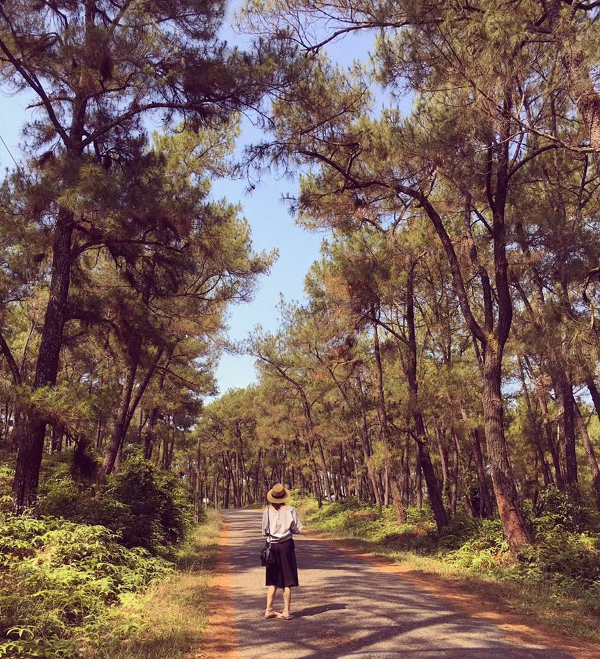 Du lich Quang Binh - Hue cuc vui ma chi ton 3 trieu dong-Hinh-10