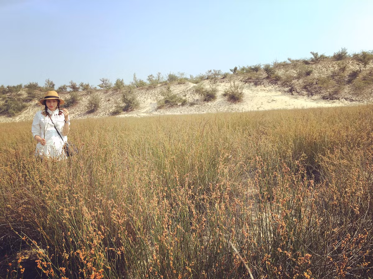 Du lich Quang Binh - Hue cuc vui ma chi ton 3 trieu dong-Hinh-8