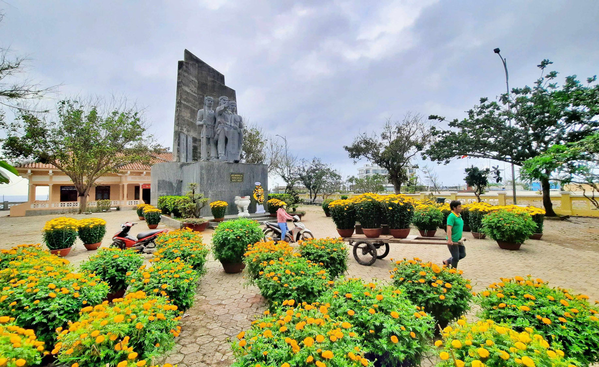 Trong khuôn viên Nhà trưng bày Hải đội Hoàng Sa kiêm quản Bắc Hải, mỗi dịp Tết đến, rực rỡ sắc hoa.