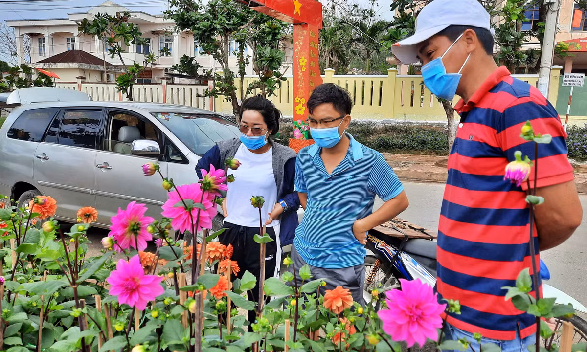Tuy nhiên, theo anh Mai Chí Tâm, một người bán hoa trên đảo Lý Sơn cho biết sức mua năm nay yếu hơn mọi năm.