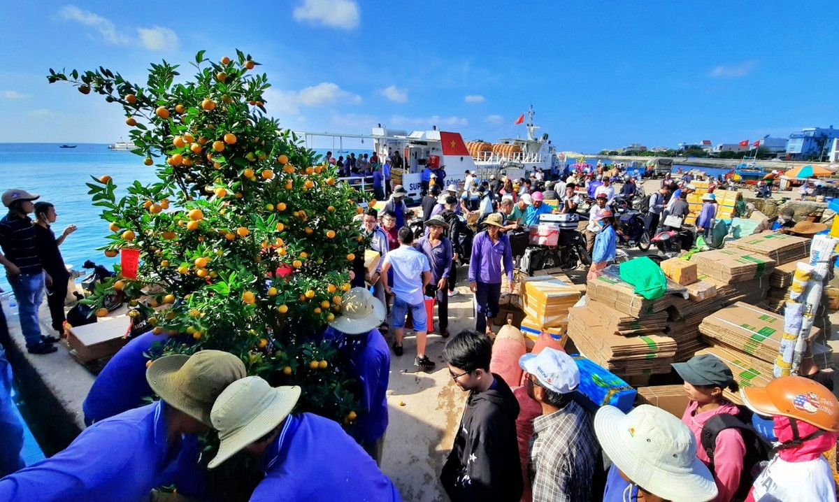 Có người kỳ công hơn, tự mua quất từ đất liền để mang về đảo Lý Sơn.