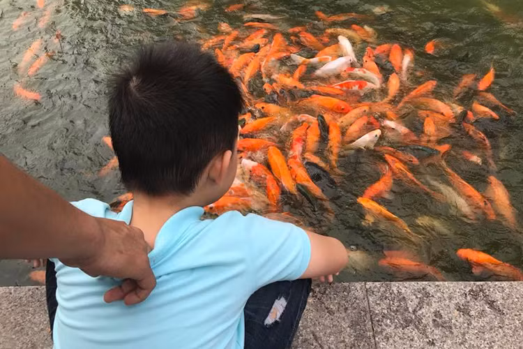 Chồng trẻ của Lê Phương chăm sóc bé Cà Pháo từng ly từng tý một.