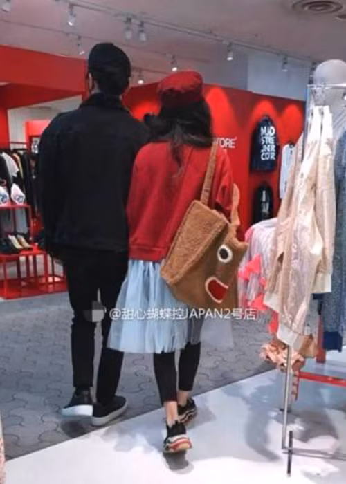 Khi sang Nhật Bản đóng phim, Phạm Băng Băng được Lý Thần hộ tống. Ảnh: Sina