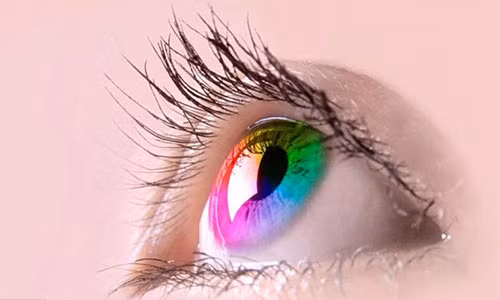 Màu mắt con người có tới 15 gen quyết định.